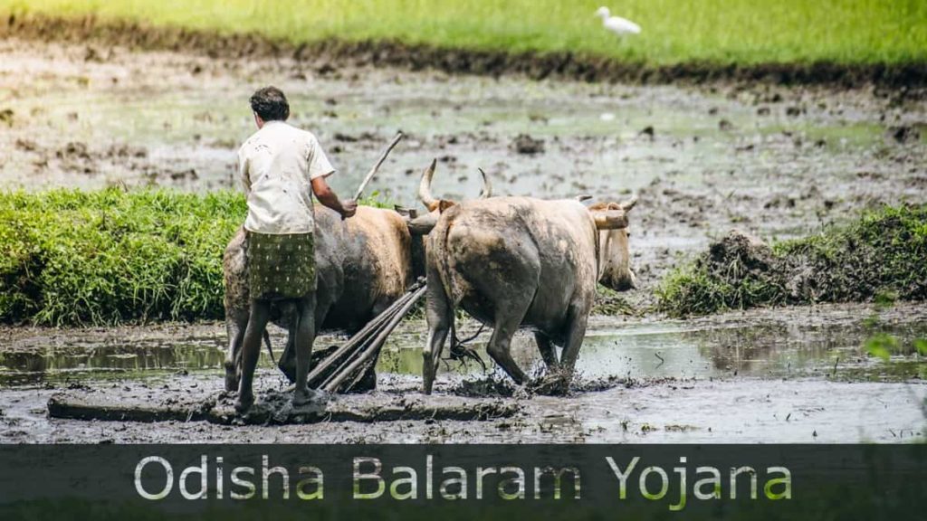 Odisha Balaram Yojana